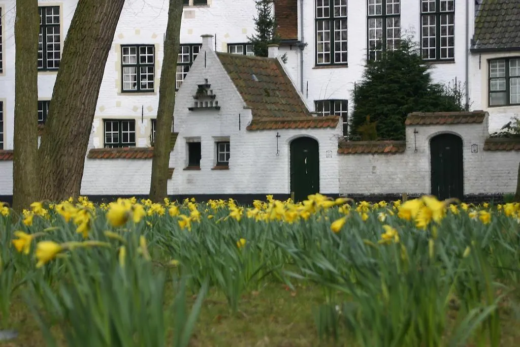 B&B Gray Bruges